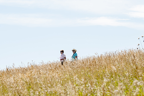 montana photographer rebecca farm 6