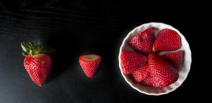 spring strawberries :: montana photographer