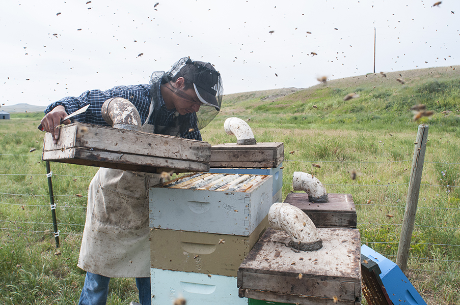 Glacier County Honey - Babb, Montana, Montana Editorial Photographer