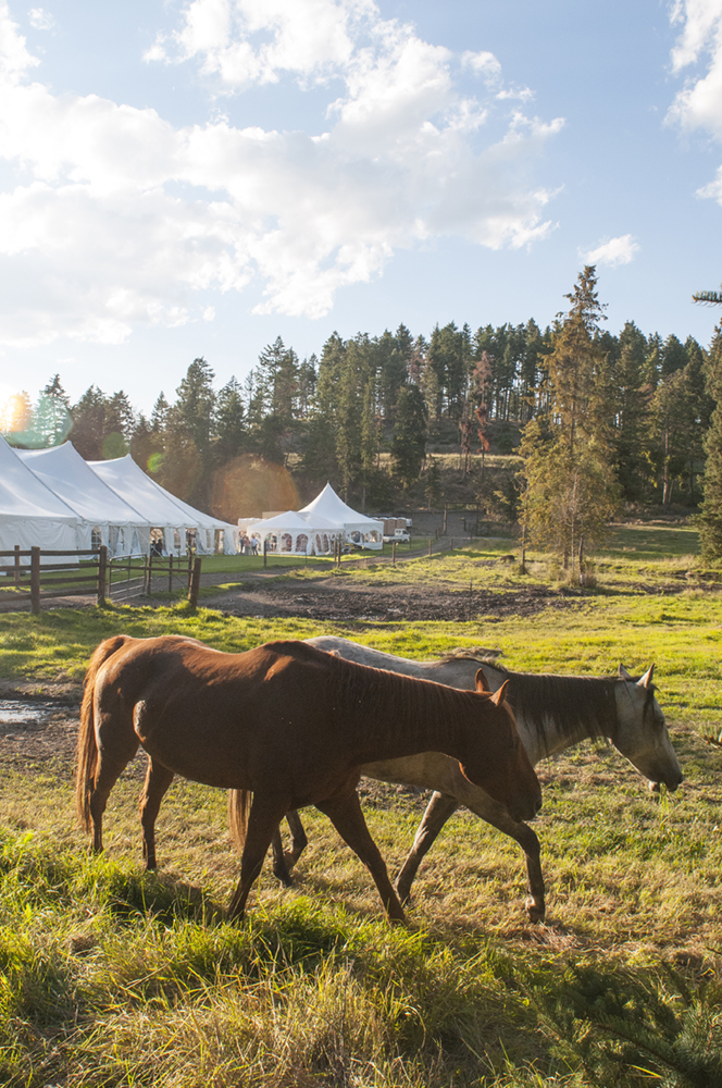 montana photographer jessica lowry